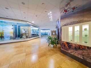 Музей истории ООО «Газпром добыча Уренгой»