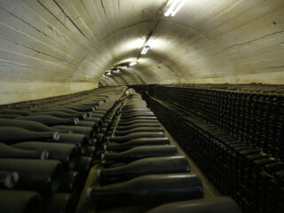 Музей «Дом князя Л.С. Голицына»