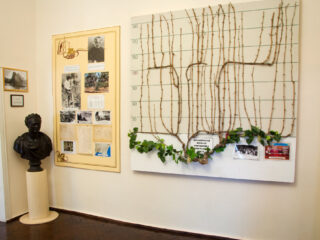 Музей «Дом князя Л.С. Голицына»