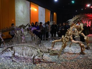 Корпоративный музей - 2019 - 09.11.2019