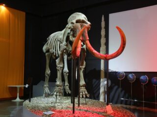 Корпоративный музей - 2019 - 09.11.2019