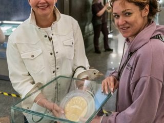 Корпоративный музей - 2020 - 29.04.2021