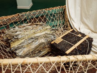 Музей Архангельского водорослевого комбината