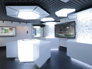 Рождённый солью: «Здесь вся соль – здесь вся суть!»