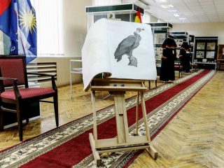 Музейно-выставочный центр ВГУ вошел в состав участников конкурса