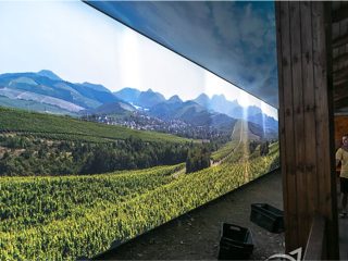 Абрау-Дюрсо: страницы игристой истории