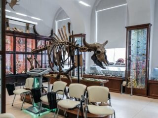 Комплекс музеев ТПУ