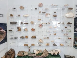 Комплекс музеев ТПУ