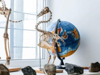 Комплекс музеев ТПУ