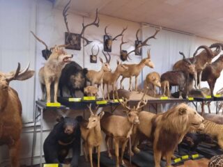 Музей ННГУ им. Н.И. Лобачевского