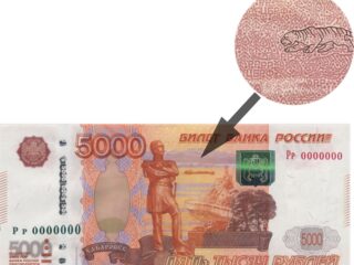 Дни зоонумизматики: викторины, микроскопы, кролики и финансовая грамотность