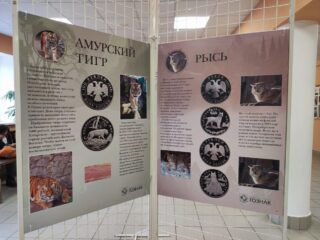 Дни зоонумизматики: викторины, микроскопы, кролики и финансовая грамотность