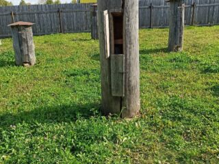 Музей северного пчеловодства