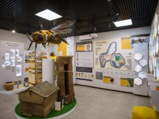 Музей северного пчеловодства