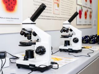 Музей северного пчеловодства