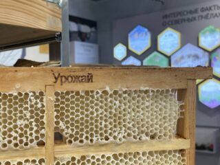 Музей северного пчеловодства