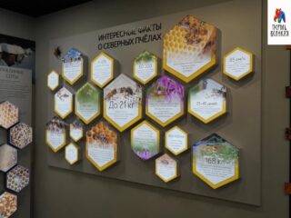 Музей северного пчеловодства