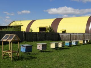 Музей северного пчеловодства