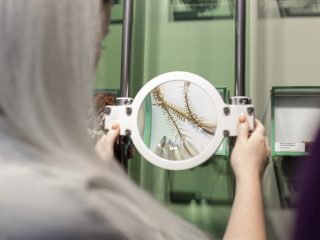 Региональный тур СЗФО VIII Национальной премии «Корпоративный музей»