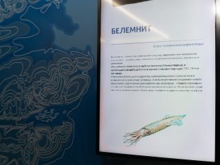 Региональный тур СЗФО VIII Национальной премии «Корпоративный музей»