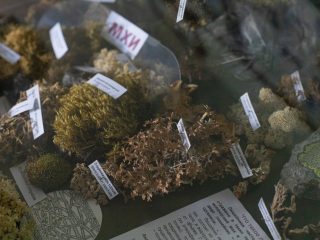 Региональный тур СЗФО VIII Национальной премии «Корпоративный музей»