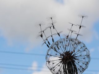 Региональный тур СЗФО VIII Национальной премии «Корпоративный музей»