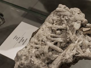 Региональный тур СЗФО VIII Национальной премии «Корпоративный музей»