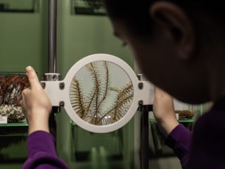 Региональный тур СЗФО VIII Национальной премии «Корпоративный музей»