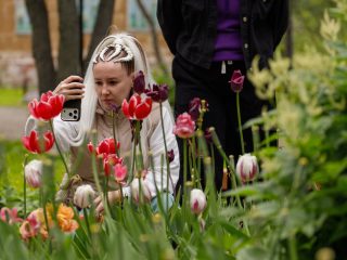 Региональный тур СЗФО VIII Национальной премии «Корпоративный музей»
