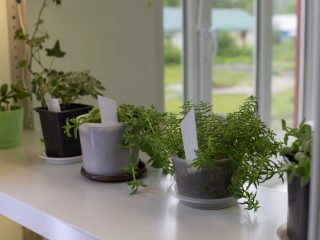 Региональный тур СЗФО VIII Национальной премии «Корпоративный музей»
