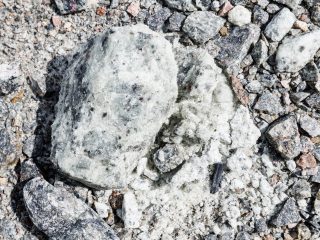 Региональный тур СЗФО VIII Национальной премии «Корпоративный музей»
